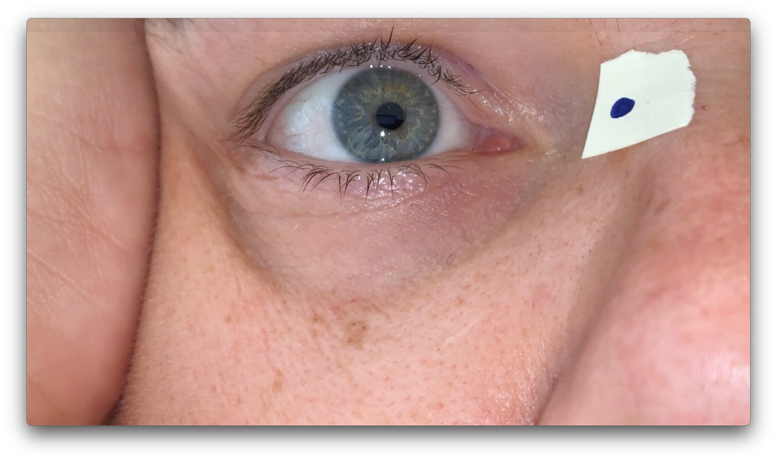 Stabilised iPhone Original